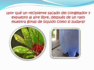 ¿por qué un recipiente sacado del congelador y
expuesto al aire libre, después de un rato
muestra gotas de líquido como si sudara?
 