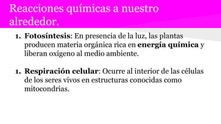 Reacciones químicas a nuestro
alrededor.
1. Fotosíntesis: En presencia de la luz, las plantas
producen materia orgánica rica en energía química y
liberan oxígeno al medio ambiente.
1. Respiración celular: Ocurre al interior de las células
de los seres vivos en estructuras conocidas como
mitocondrias.
 