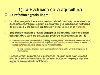 1) La Evolución de la agricultura  La reforma agraria liberal La reforma agraria liberal es el conjunto de reformas cuyo objetivo era la disolución del Antiguo Régimen en el campo, y la introducción de formas de propiedad y producción capitalistas = poner tierras en el  mercado Esta transformación se realizó en España a lo largo de la primera mitad del siglo XIX, a partir de la subida al poder de los progresistas en 1837. Desamortizaciones de Mendizábal (1836) y Madoz (1855): Durante este proceso se abolió el  régimen señorial , se  desvinculó  la propiedad y se  desamortizaron  la mayoría de las tierras pertenecientes a la Iglesia y a los Ayuntamientos . No éxito completo: compraron tierras quienes ya tenían, no se realizó un verdadero proceso de reforma agraria Consecuencia: aumento de la producción, pero no de la productividad  (sólo se produce por un aumento de tierras en explotación, no porque haya una mejora de los métodos de explotación). 
