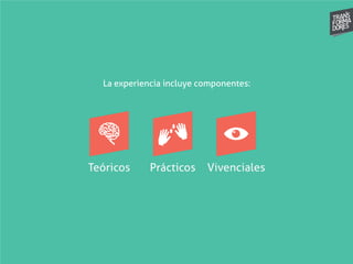 La experiencia incluye componentes:
 