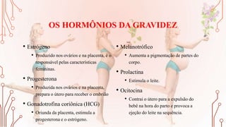 OS HORMÔNIOS DA GRAVIDEZ
• Estrógeno
• Produzido nos ovários e na placenta, é o
responsável pelas características
femininas.
• Progesterona
• Produzida nos ovários e na placenta,
prepara o útero para receber o embrião
• Gonadotrofina coriônica (HCG)
• Oriunda da placenta, estimula a
progesterona e o estrógeno.
• Melanotrófico
• Aumenta a pigmentação de partes do
corpo.
• Prolactina
• Estimula o leite.
• Ocitocina
• Contrai o útero para a expulsão do
bebê na hora do parto e provoca a
ejeção do leite na sequência.
 