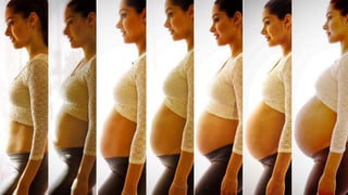 TRANSFORMAÇÕES DO CORPO DA MULHER GRÁVIDA.pptx