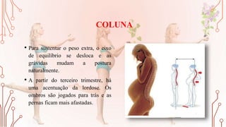 COLUNA
• Para sustentar o peso extra, o eixo
de equilíbrio se desloca e as
grávidas mudam a postura
naturalmente.
• A partir do terceiro trimestre, há
uma acentuação da lordose. Os
ombros são jogados para trás e as
pernas ficam mais afastadas.
 