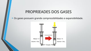 PROPRIEADES DOS GASES
• Os gases possuem grande compressibilidades e expansibilidade.
 