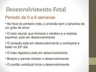 Desenvolvimento Fetal
Período de 0 a 6 semanas
• No final do primeiro mês, o embrião tem o tamanho de
um grão de arroz
• O tubo neural, que formará o cérebro e a medula
espinhal, está em desenvolvimento
• O coração está em desenvolvimento e começará a
bater no 25º dia
• O trato digestivo está em desenvolvimento
• Braços e pernas iniciam o desenvolvimento
• O cordão umbilical inicia o desenvolvimento
 