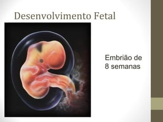 Desenvolvimento Fetal
Embrião de
8 semanas
 
