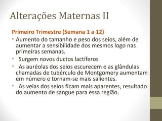 Alterações Maternas II
Primeiro Trimestre (Semana 1 a 12)
• Aumento do tamanho e peso dos seios, além de
aumentar a sensibilidade dos mesmos logo nas
primeiras semanas.
• Surgem novos ductos lactíferos
• As auréolas dos seios escurecem e as glândulas
chamadas de tubérculo de Montgomery aumentam
em número e tornam-se mais salientes.
• As veias dos seios ficam mais aparentes, resultado
do aumento de sangue para essa região.
 