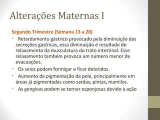 Alterações Maternas I
Segundo Trimestre (Semana 13 a 28)
• Retardamento gástrico provocado pela diminuição das
secreções gástricas, essa diminuição é resultado do
relaxamento da musculatura do trato intestinal. Esse
relaxamento também provoca um número menor de
evacuações.
• Os seios podem formigar e ficar doloridos.
• Aumento da pigmentação da pele, principalmente em
áreas já pigmentadas como sardas, pintas, mamilos.
• As gengivas podem se tornar esponjosas devido à ação
 