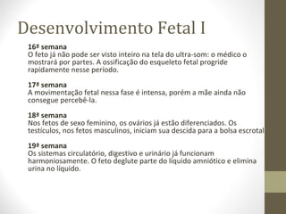Desenvolvimento Fetal I
16ª semana
O feto já não pode ser visto inteiro na tela do ultra-som: o médico o
mostrará por partes. A ossificação do esqueleto fetal progride
rapidamente nesse período.
17ª semana
A movimentação fetal nessa fase é intensa, porém a mãe ainda não
consegue percebê-la.
18ª semana
Nos fetos de sexo feminino, os ovários já estão diferenciados. Os
testículos, nos fetos masculinos, iniciam sua descida para a bolsa escrotal.
19ª semana
Os sistemas circulatório, digestivo e urinário já funcionam
harmoniosamente. O feto deglute parte do líquido amniótico e elimina
urina no líquido.
 