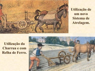 Utilização de um novo Sistema de Atrelagem. Utilização da Charrua e com Relha de Ferro. 