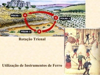 Rotação Trienal Utilização de Instrumentos de Ferro 