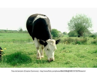 Foto de kevinzim (Creative Commons) - http://www.ﬂickr.com/photos/86624586@N00/10176570/sizes/m/
 