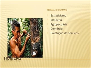 TRABALHO HUMANO
 Extrativismo
 Indústria
 Agropecuária
 Comércio
 Prestação de serviços
 