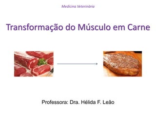 Transformação do Músculo em Carne
Professora: Dra. Hélida F. Leão
Medicina Veterinária
 