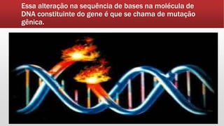 Essa alteração na sequência de bases na molécula de
DNA constituinte do gene é que se chama de mutação
gênica.
 