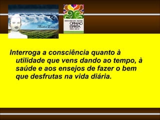 Interroga a consciência quanto à
  utilidade que vens dando ao tempo, à
  saúde e aos ensejos de fazer o bem
  que desfrutas na vida diária.
 