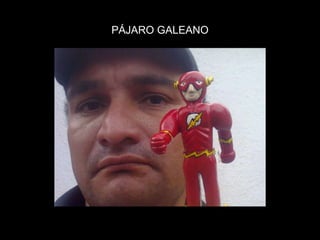 PÁJARO GALEANO
 