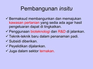 Pembangunan  insitu Bermaksud membangunkan dan memajukan  kawasan pertanian  yang sedia ada agar hasil pengeluaran dapat di tingkatkan. Penggunaan  bioteknologi  dan  R&D  di jalankan. Teknik-teknik baru dalam penanaman padi. Subsidi   diberikan. Peyelidikan dijalankan. Juga dalam sektor  ternakan. 