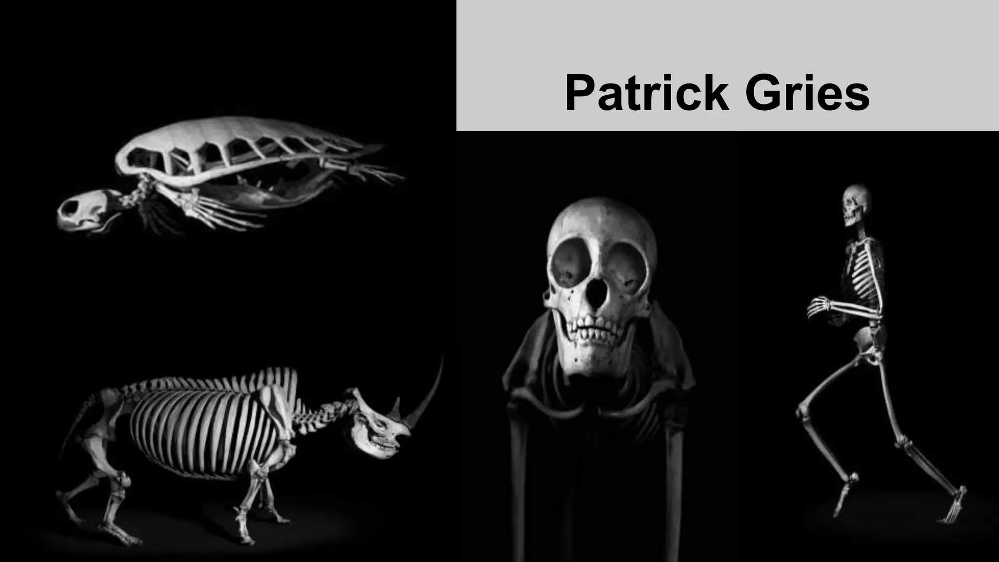 Patrick Gries
 