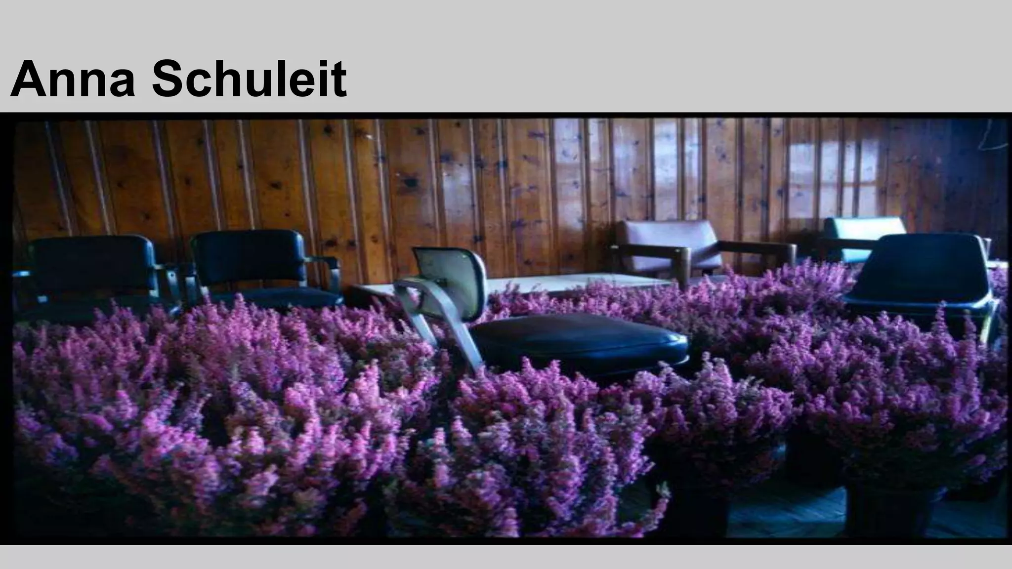 Anna Schuleit
 