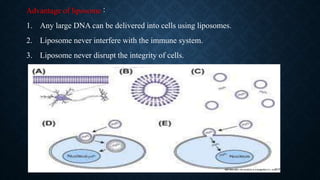 Advantage of liposome :
1. Any large DNA can be delivered into cells using liposomes.
2. Liposome never interfere with the immune system.
3. Liposome never disrupt the integrity of cells.
 