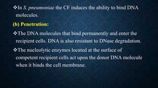 In S. pneumoniae the CF induces the ability to bind DNA
molecules.
(b) Penetration:
The DNA molecules that bind permanently and enter the
recipient cells. DNA is also resistant to DNase degradation.
The nucleolytic enzymes located at the surface of
competent recipient cells act upon the donor DNA molecule
when it binds the cell membrane.
 