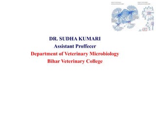 DR. SUDHA KUMARI
Assistant Proffecer
Department of Veterinary Microbiology
Bihar Veterinary College
 