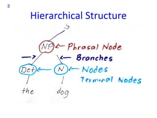 3

    Hierarchical Structure
 