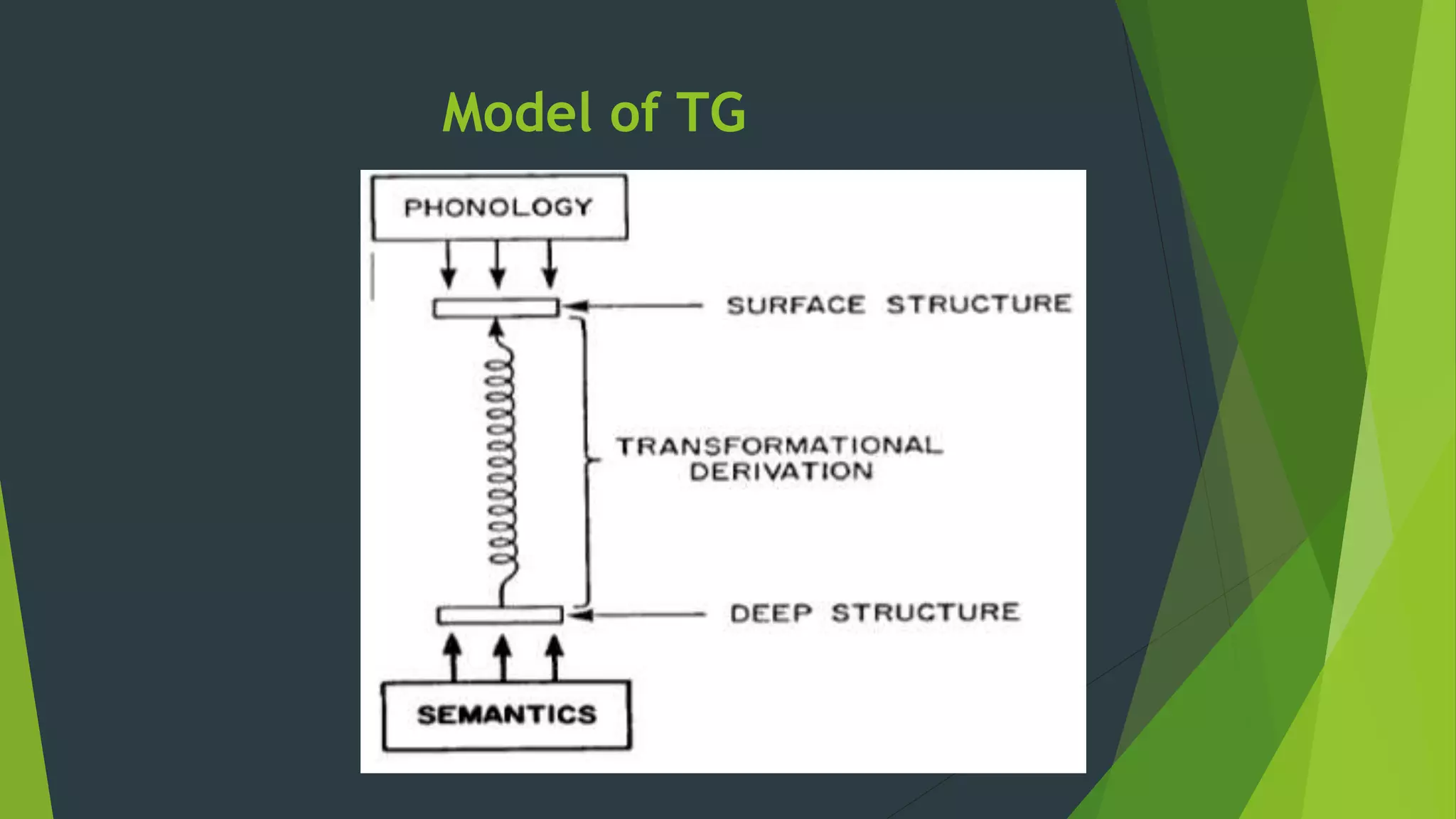 Model of TG
 