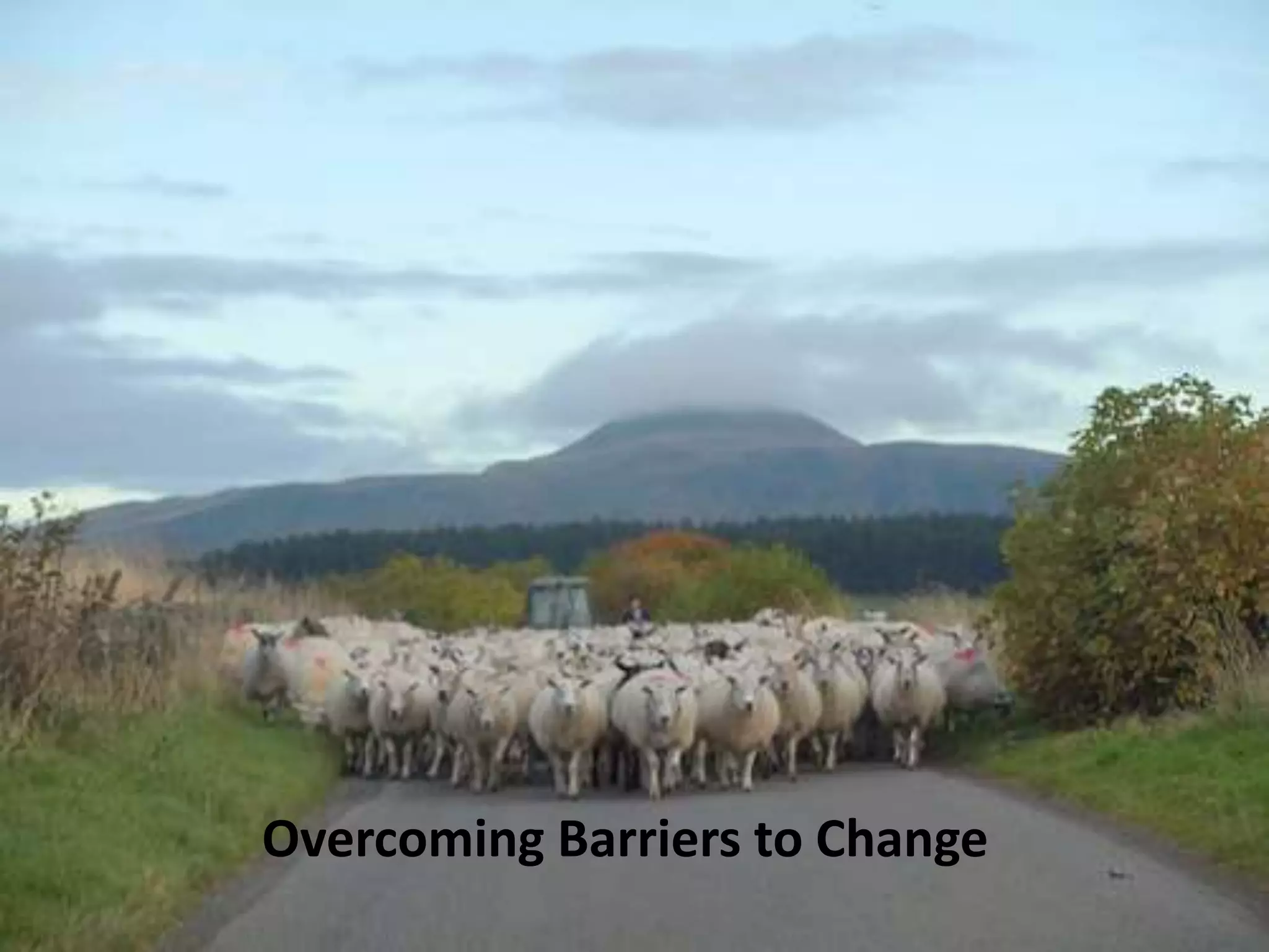 Overcoming Barriers to Change

 