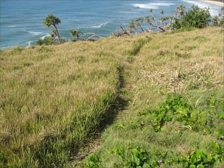 Transformational Teaching Copy