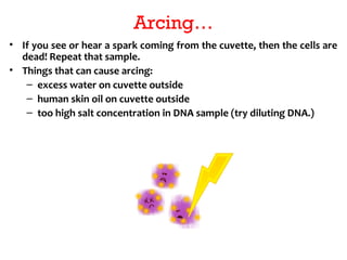 Transformation and transfection | PPT