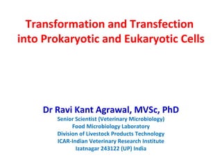 Transformation and Transfection
into Prokaryotic and Eukaryotic Cells
Dr Ravi Kant Agrawal, MVSc, PhD
Senior Scientist (Veterinary Microbiology)
Food Microbiology Laboratory
Division of Livestock Products Technology
ICAR-Indian Veterinary Research Institute
Izatnagar 243122 (UP) India
 
