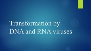 Transformation by
DNA and RNA viruses

 