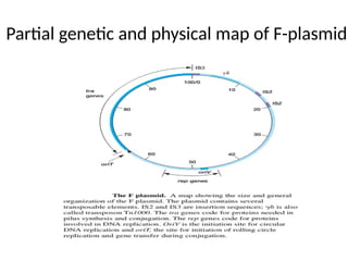 Partial genetic and physical map of F-plasmid
 