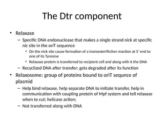 The Dtr component
• Relaxase
– Specific DNA endonuclease that makes a single strand nick at specific
nic site in the oriT sequence
• On the nick site cause formation of a transesterifiction reaction at 5’ end to
one of its Tyrosine
• Relaxase protein is transferred to recipient cell and along with it the DNA
– Recyclized DNA after transfer; gets degraded after its function
• Relaxosome: group of proteins bound to oriT sequnce of
plasmid
– Help bind relaxase, help separate DNA to initiate transfer, help in
communication with coupling protein of Mpf system and tell relaxase
when to cut; helicase action;
– Not transferred along with DNA
 