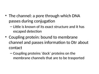• The channel: a pore through which DNA
passes during conjugation
– Little is known of its exact structure and it has
escaped detection
• Coupling protein: bound to membrane
channel and passes information to Dtr about
contact
– Coupling proteins ‘dock’ proteins on the
membrane channels that are to be trasported
 