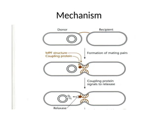 Mechanism
 