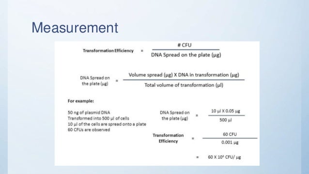 Transformation efficiency