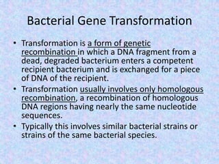 Bacterial Gene Transformation
• Transformation is a form of genetic
recombination in which a DNA fragment from a
dead, degraded bacterium enters a competent
recipient bacterium and is exchanged for a piece
of DNA of the recipient.
• Transformation usually involves only homologous
recombination, a recombination of homologous
DNA regions having nearly the same nucleotide
sequences.
• Typically this involves similar bacterial strains or
strains of the same bacterial species.
 