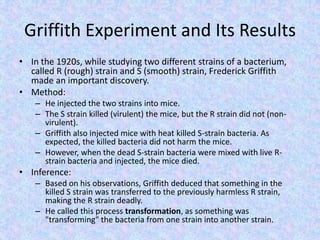 Griffith Experiment and Its Results
• In the 1920s, while studying two different strains of a bacterium,
called R (rough) strain and S (smooth) strain, Frederick Griffith
made an important discovery.
• Method:
– He injected the two strains into mice.
– The S strain killed (virulent) the mice, but the R strain did not (non-
virulent).
– Griffith also injected mice with heat killed S-strain bacteria. As
expected, the killed bacteria did not harm the mice.
– However, when the dead S-strain bacteria were mixed with live R-
strain bacteria and injected, the mice died.
• Inference:
– Based on his observations, Griffith deduced that something in the
killed S strain was transferred to the previously harmless R strain,
making the R strain deadly.
– He called this process transformation, as something was
"transforming" the bacteria from one strain into another strain.
 