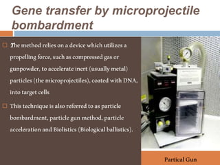 Gene transfer by microprojectile
bombardment
 Themethodreliesonadevicewhichutilizesa
propellingforce,suchascompressedgasor
gunpowder,toaccelerateinert(usuallymetal)
particles(themicroprojectiles),coatedwithDNA,
intotargetcells
 Thistechniqueisalsoreferredtoasparticle
bombardment,particlegunmethod,particle
accelerationandBiolistics(Biologicalballistics).
ParticalGun
 