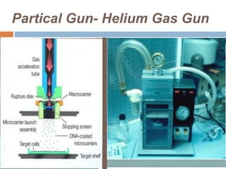 Partical Gun- Helium Gas Gun
 