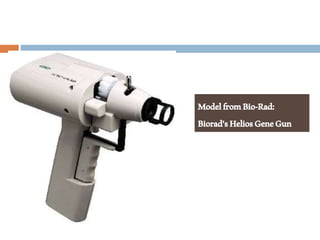 ModelfromBio-Rad:
Biorad'sHeliosGeneGun
 