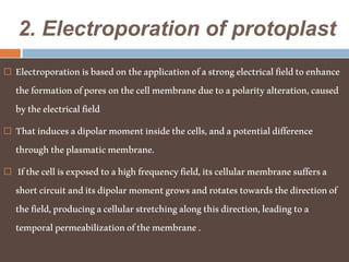 2. Electroporation of protoplast
 Electroporationisbasedontheapplicationofastrongelectricalfieldtoenhance
theformationofporesonthecellmembraneduetoapolarityalteration,caused
bytheelectricalfield
 Thatinducesadipolarmomentinsidethecells,andapotentialdifference
throughtheplasmaticmembrane.
 Ifthecellisexposedtoahighfrequencyfield,itscellularmembranesuffersa
shortcircuitanditsdipolarmomentgrowsandrotatestowardsthedirectionof
thefield,producingacellularstretchingalongthisdirection,leadingtoa
temporalpermeabilizationofthemembrane.
 