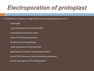 Electroporation of protoplast
 Transformationfrequencystronglyeffectedbyseveralphysicalfactorssuchas
pulselength
typeanddurationof theelectricalfield,
transmembranepotentialcreated,
extentofmembranepermeation,
durationofthepermeatedstate
modeanddurationofmolecularflow
globalandlocal(surface)concentrationsofDNA,
formofDNA,toleranceofcellstomembranepermeation
andtheheterogeneityofthecellpopulation
 
