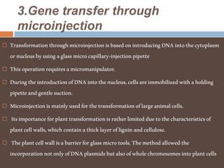 3.Gene transfer through
microinjection
 TransformationthroughmicroinjectionisbasedonintroducingDNAintothecytoplasm
ornucleusbyusingaglassmicrocapillary-injectionpipette
 Thisoperationrequiresamicromanipulator.
 DuringtheintroductionofDNAintothenucleus,cellsareimmobilizedwithaholding
pipetteandgentlesuction.
 Microinjectionismainlyusedforthetransformationoflargeanimalcells.
 Itsimportanceforplanttransformationisratherlimitedduetothecharacteristicsof
plantcellwalls,whichcontainathicklayerofligninandcellulose.
 Theplantcellwallisabarrierforglassmicrotools.Themethodallowedthe
incorporationnotonlyofDNAplasmidsbutalsoofwholechromosomesintoplantcells
 