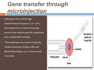 Gene transfer through
microinjection
 Althoughithasafairlyhigh
transformationfrequency(20–50%),
microinjectionisatimeconsuming
processthatrequiresspecificequipment
andconsiderabletraining.
 Thistechniquewasusedtostudythe
cellularfunctionsofplantcellsand
plastidphysiology,e.g.intobaccoand
Viciafaba
 