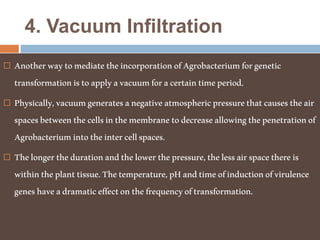 4. Vacuum Infiltration
 AnotherwaytomediatetheincorporationofAgrobacteriumforgenetic
transformationistoapplyavacuumforacertaintimeperiod.
 Physically,vacuumgeneratesanegativeatmosphericpressurethatcausestheair
spacesbetweenthecellsinthemembranetodecreaseallowingthepenetrationof
Agrobacteriumintotheintercellspaces.
 Thelongerthedurationandthelowerthepressure,thelessairspacethereis
withintheplanttissue.Thetemperature,pHandtimeofinductionofvirulence
geneshaveadramaticeffectonthefrequencyoftransformation.
 