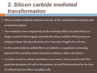 2. Silicon carbide mediated
transformation
 Siliconcarbidemediatedmethodisalsooneofthetransformationmethodused
totransformplants.
 Thismethodisleastcomplicated.Inthistechniquefibresareusedwhichare
singlecrystalsofsilicaorganicmineralslikesiliconcarbidewhichpossessan
elongatedshape,havingadiameterof0.6mmandalengthof10–80mm
 Inthismethodsiliconcarbidefibers’areaddedtoasuspensioncontaining
plasmidDNAandplanttissue(immatureembryos,callus,cellcluster).
 Itisthenmixedincommercialshakersorinvortex.FibrescoatedwithDNA
penetratetheplantcellwallinthepresenceofsmallholesproducedatthetime
ofcollisionbetweenfibresandplantcells
 